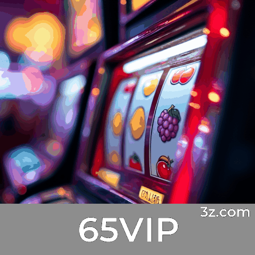 65VIP Logo