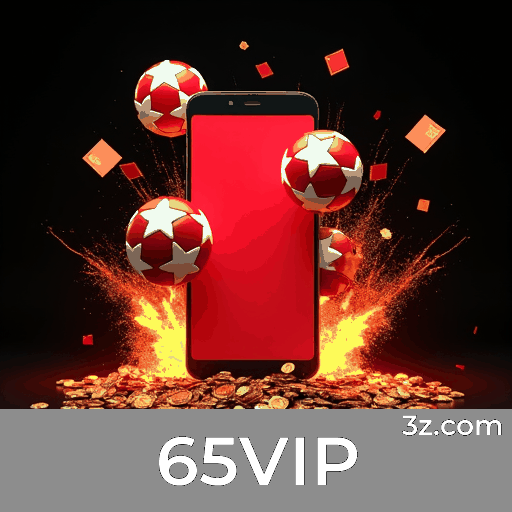 65VIP Logo