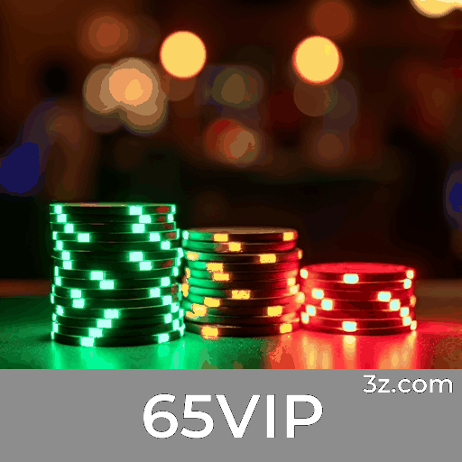 65VIP Logo